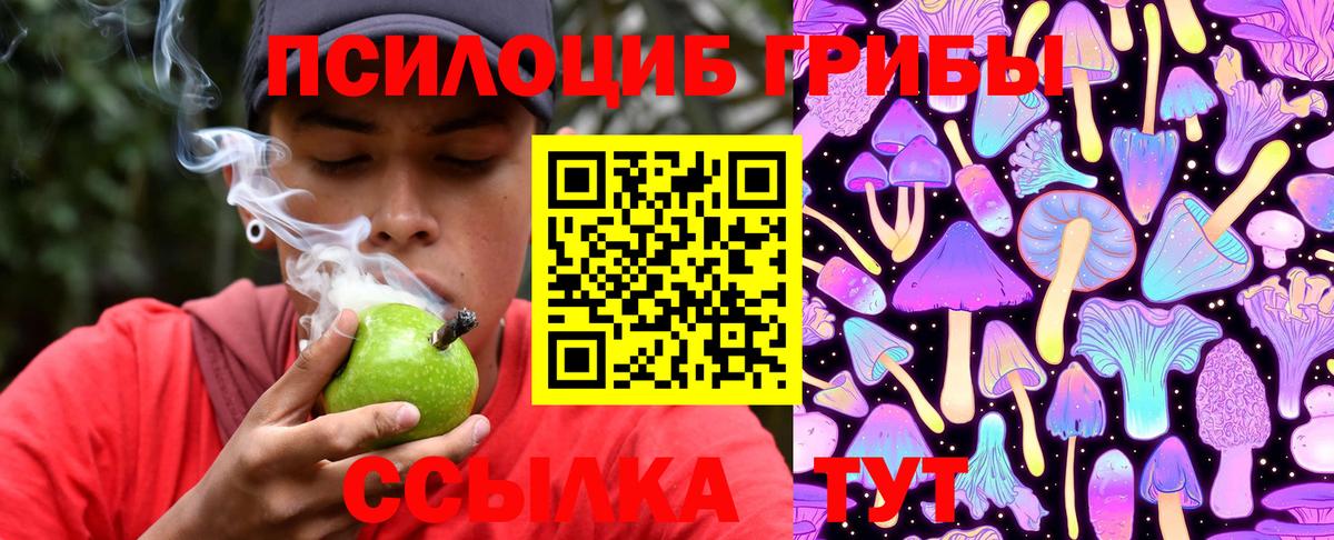 Галлюциногенные грибы Magic Shrooms  Вход с VPN  купить  цена  Псилоцибиновые грибы Cubensis  Южно-Сахалинск 