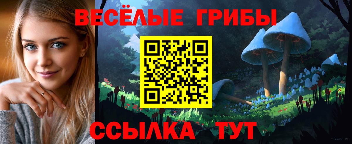 Галлюциногенные грибы Psilocybe Южно-Сахалинск